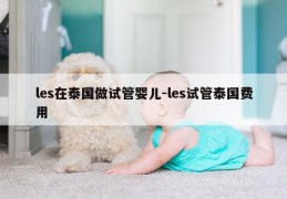 les在泰国做试管婴儿-les试管泰国费用
