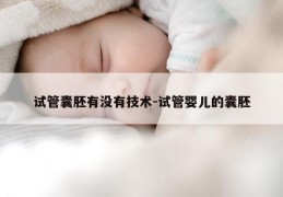 试管囊胚有没有技术-试管婴儿的囊胚