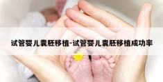 试管婴儿囊胚移植-试管婴儿囊胚移植成功率