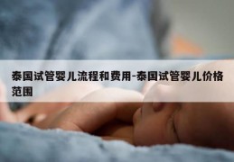 泰国试管婴儿流程和费用-泰国试管婴儿价格范围