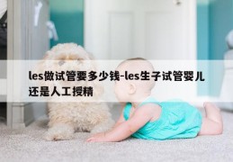 les做试管要多少钱-les生子试管婴儿还是人工授精