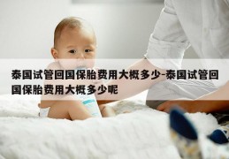 泰国试管回国保胎费用大概多少-泰国试管回国保胎费用大概多少呢