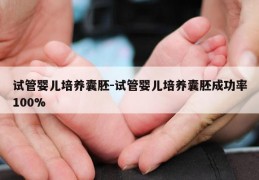 试管婴儿培养囊胚-试管婴儿培养囊胚成功率100%