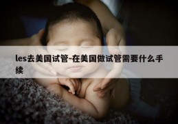 les去美国试管-在美国做试管需要什么手续