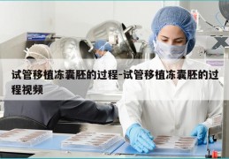 试管移植冻囊胚的过程-试管移植冻囊胚的过程视频