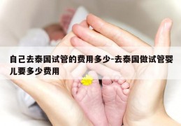 自己去泰国试管的费用多少-去泰国做试管婴儿要多少费用
