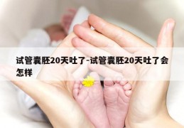试管囊胚20天吐了-试管囊胚20天吐了会怎样