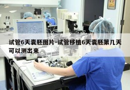 试管6天囊胚图片-试管移植6天囊胚第几天可以测出来