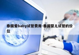 泰国爱baby试管费用-泰国婴儿试管的价位