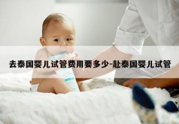 去泰国婴儿试管费用要多少-赴泰国婴儿试管