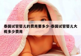 泰国试管婴儿的费用要多少-泰国试管婴儿大概多少费用