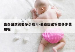 去泰国试管要多少费用-去泰国试管要多少费用呢