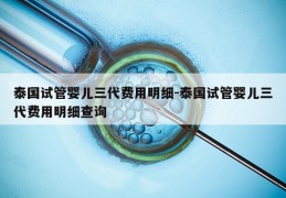 泰国试管婴儿三代费用明细-泰国试管婴儿三代费用明细查询