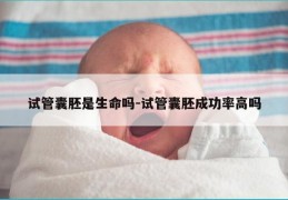 试管囊胚是生命吗-试管囊胚成功率高吗