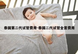 泰国第二代试管费用-泰国二代试管全套费用