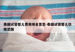 泰国试管婴儿费用排名意思-泰国试管婴儿价格范围