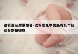 试管囊胚质量排名-试管婴儿中囊胚有几个级别分别是哪些
