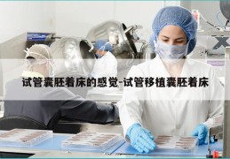 试管囊胚着床的感觉-试管移植囊胚着床