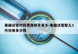 泰国试管代妈费用知乎多少-泰国试管婴儿3代价格多少钱
