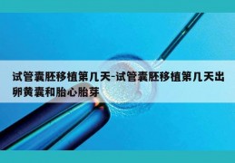 试管囊胚移植第几天-试管囊胚移植第几天出卵黄囊和胎心胎芽