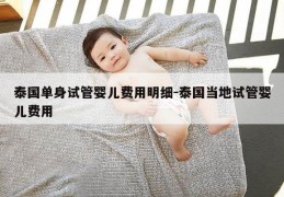 泰国单身试管婴儿费用明细-泰国当地试管婴儿费用