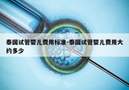 泰国试管婴儿费用标准-泰国试管婴儿费用大约多少