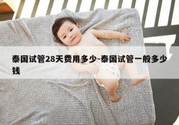 泰国试管28天费用多少-泰国试管一般多少钱