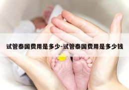 试管泰国费用是多少-试管泰国费用是多少钱