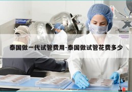 泰国做一代试管费用-泰国做试管花费多少
