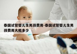 泰国试管婴儿生NH费用-泰国试管婴儿生NH费用大概多少