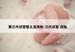 第三代试管婴儿龙凤胎-三代试管 双胎
