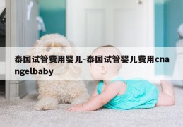 泰国试管费用婴儿-泰国试管婴儿费用cnangelbaby