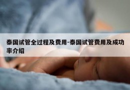 泰国试管全过程及费用-泰国试管费用及成功率介绍