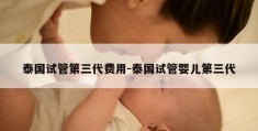 泰国试管第三代费用-泰国试管婴儿第三代