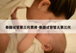 泰国试管第三代费用-泰国试管婴儿第三代