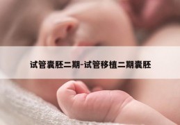 试管囊胚二期-试管移植二期囊胚