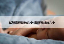 试管囊胚能放几个-囊胚可以放几个