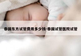 泰国东方试管费用多少钱-泰国试管医院试管