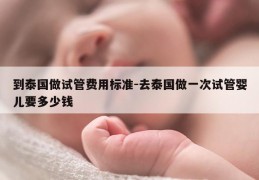 到泰国做试管费用标准-去泰国做一次试管婴儿要多少钱