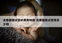 去泰国做试管的费用明细-去泰国做试管得多少钱