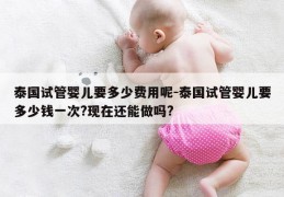 泰国试管婴儿要多少费用呢-泰国试管婴儿要多少钱一次?现在还能做吗?