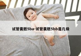 试管囊胚5ba-试管囊胚5bb是几级
