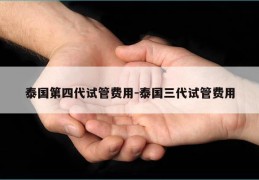 泰国第四代试管费用-泰国三代试管费用