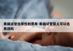 泰国试管选择XB费用-泰国试管婴儿可以选NH吗