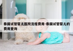 泰国试管婴儿医院流程费用-泰国试管婴儿的费用查询