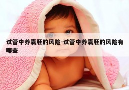 试管中养囊胚的风险-试管中养囊胚的风险有哪些