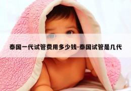 泰国一代试管费用多少钱-泰国试管是几代