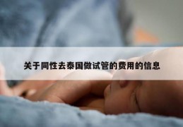 关于同性去泰国做试管的费用的信息