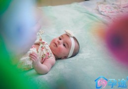 试管婴儿取卵后如何保养卵巢
