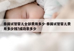 泰国试管婴儿全部费用多少-泰国试管婴儿费用多少钱?成功率多少